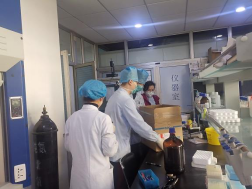 from clipboard from clipboard