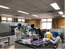 from clipboard from clipboard